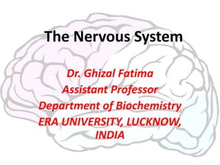 The Nervous System
Dr. Ghizal Fatima
Assistant Professor
Department of Biochemistry
ERA UNIVERSITY, LUCKNOW,
INDIA
 
