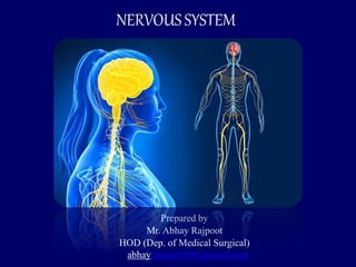 NERVOUSSYSTEM
Prepared by
Mr. Abhay Rajpoot
HOD (Dep. of Medical Surgical)
abhayrajpoot5591@gmail.com
 