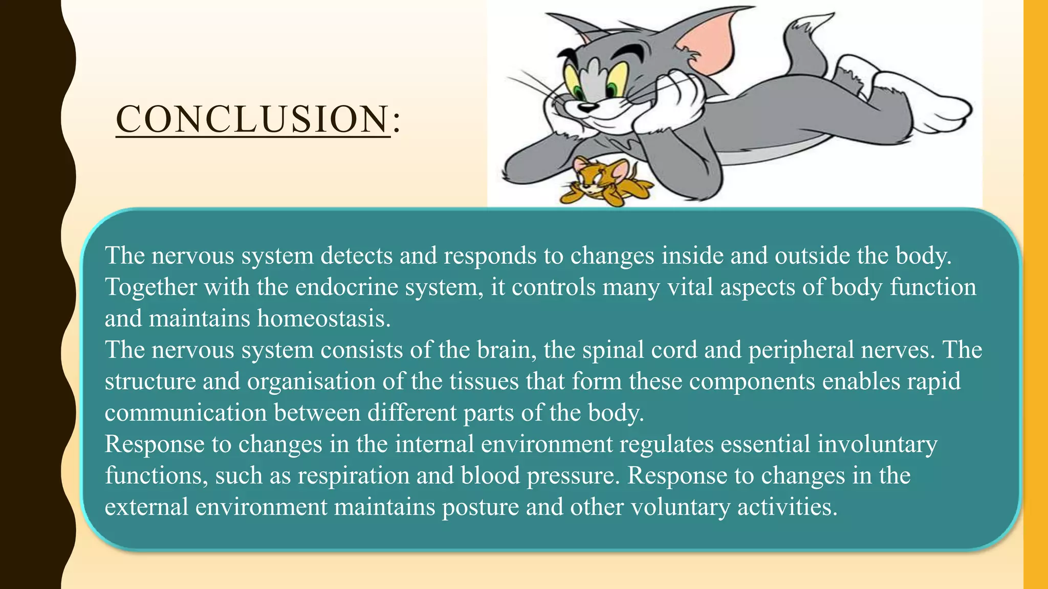 CONCLUSION:
• The nervous system detects and responds to changes inside and outside the
body. Together with the endocrine system, it controls many vital aspects of
body function and maintains homeostasis.
• The nervous system consists of the brain, the spinal cord and peripheral nerves.
The structure and organisation of the tissues that form these components
enables rapid communication between different parts of the body.
• Response to changes in the internal environment regulates essential involuntary
functions, such as respiration and blood pressure. Response to changes in the
external environment maintains posture and other voluntary activities.
The nervous system detects and responds to changes inside and outside the body.
Together with the endocrine system, it controls many vital aspects of body function
and maintains homeostasis.
The nervous system consists of the brain, the spinal cord and peripheral nerves. The
structure and organisation of the tissues that form these components enables rapid
communication between different parts of the body.
Response to changes in the internal environment regulates essential involuntary
functions, such as respiration and blood pressure. Response to changes in the
external environment maintains posture and other voluntary activities.
 