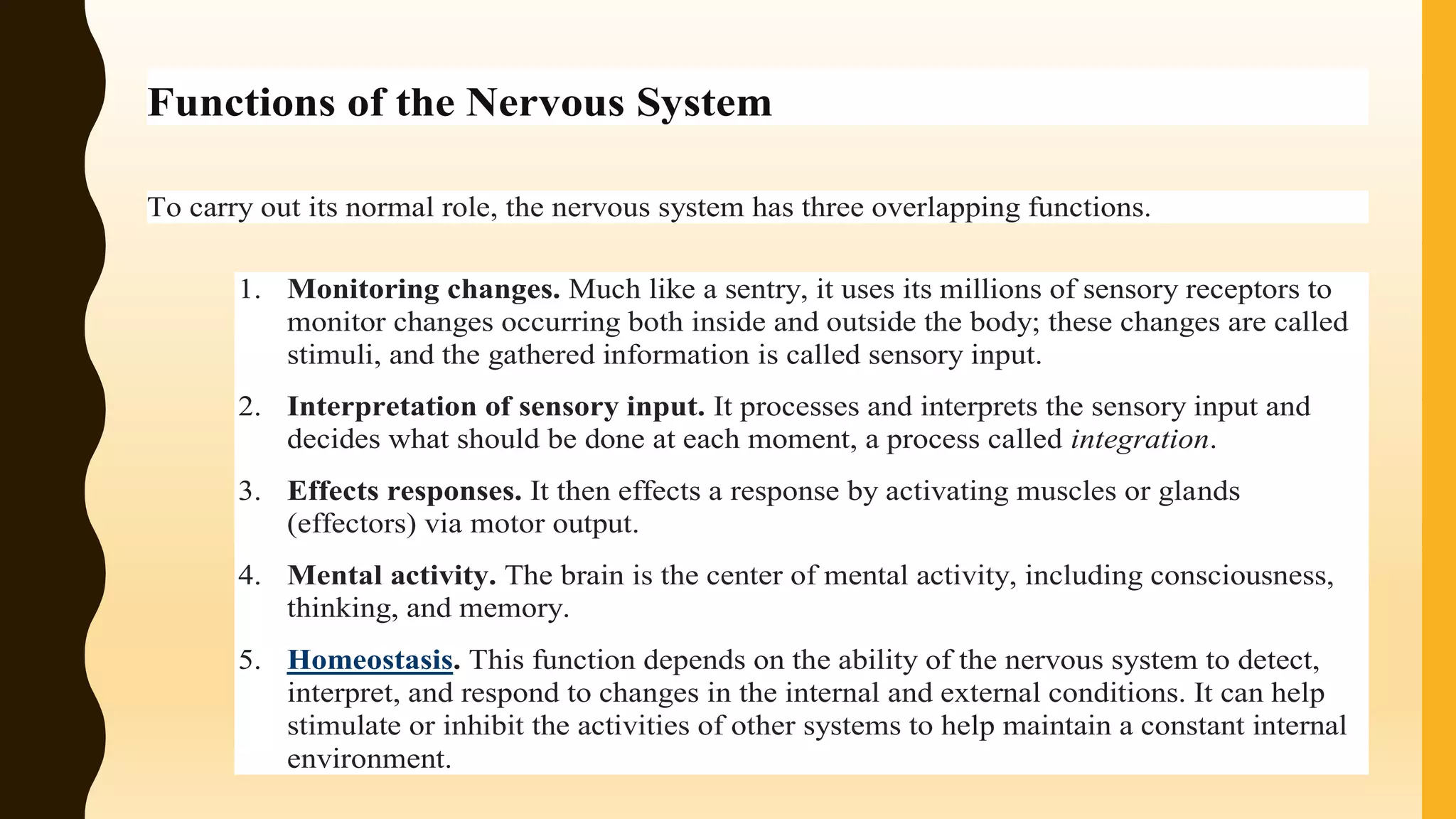 Functions of the Nervous System
To carry out its normal role, the nervous system has three overlapping functions.
1. Monitoring changes. Much like a sentry, it uses its millions of sensory receptors to
monitor changes occurring both inside and outside the body; these changes are called
stimuli, and the gathered information is called sensory input.
2. Interpretation of sensory input. It processes and interprets the sensory input and
decides what should be done at each moment, a process called integration.
3. Effects responses. It then effects a response by activating muscles or glands
(effectors) via motor output.
4. Mental activity. The brain is the center of mental activity, including consciousness,
thinking, and memory.
5. Homeostasis. This function depends on the ability of the nervous system to detect,
interpret, and respond to changes in the internal and external conditions. It can help
stimulate or inhibit the activities of other systems to help maintain a constant internal
environment.
 