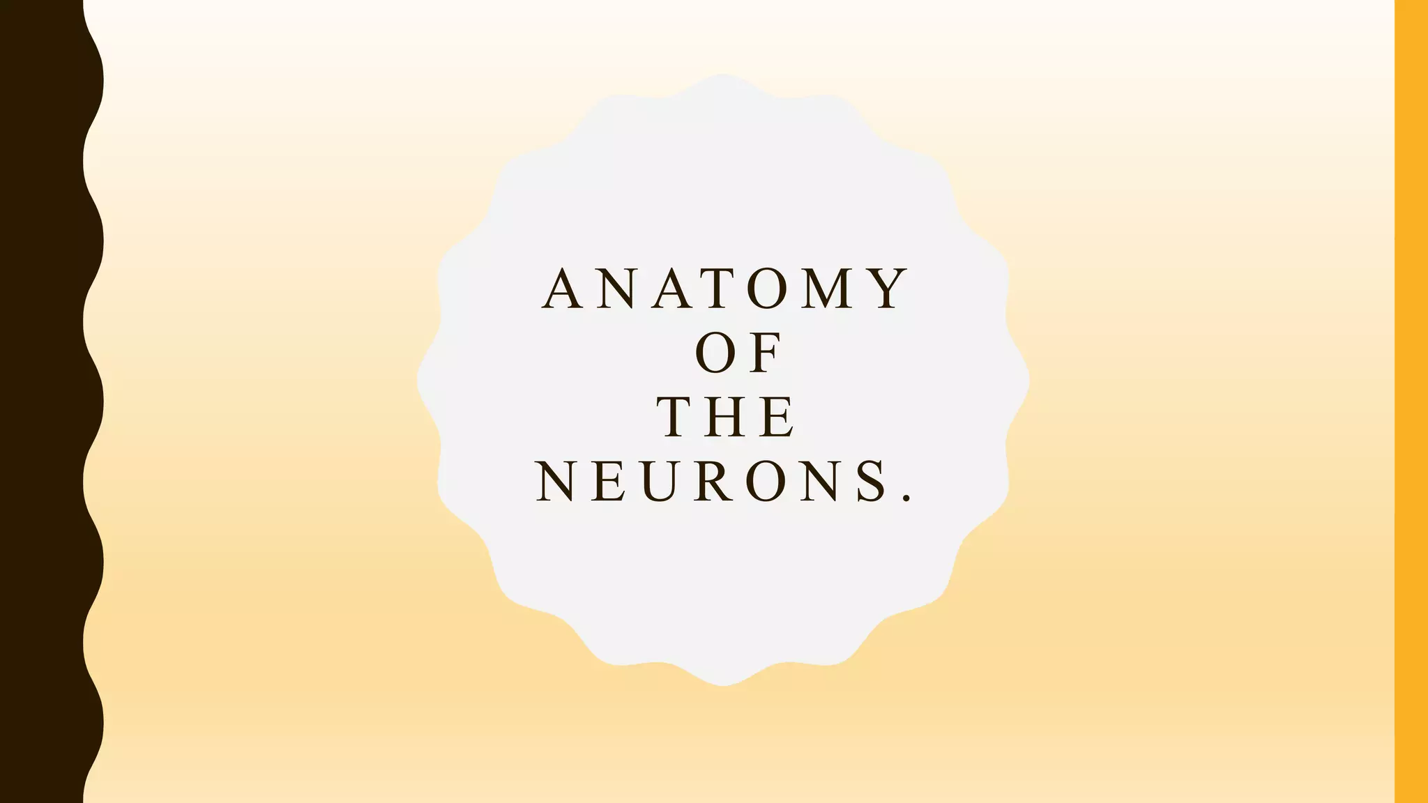 A N AT O M Y
O F
T H E
N E U R O N S .
 