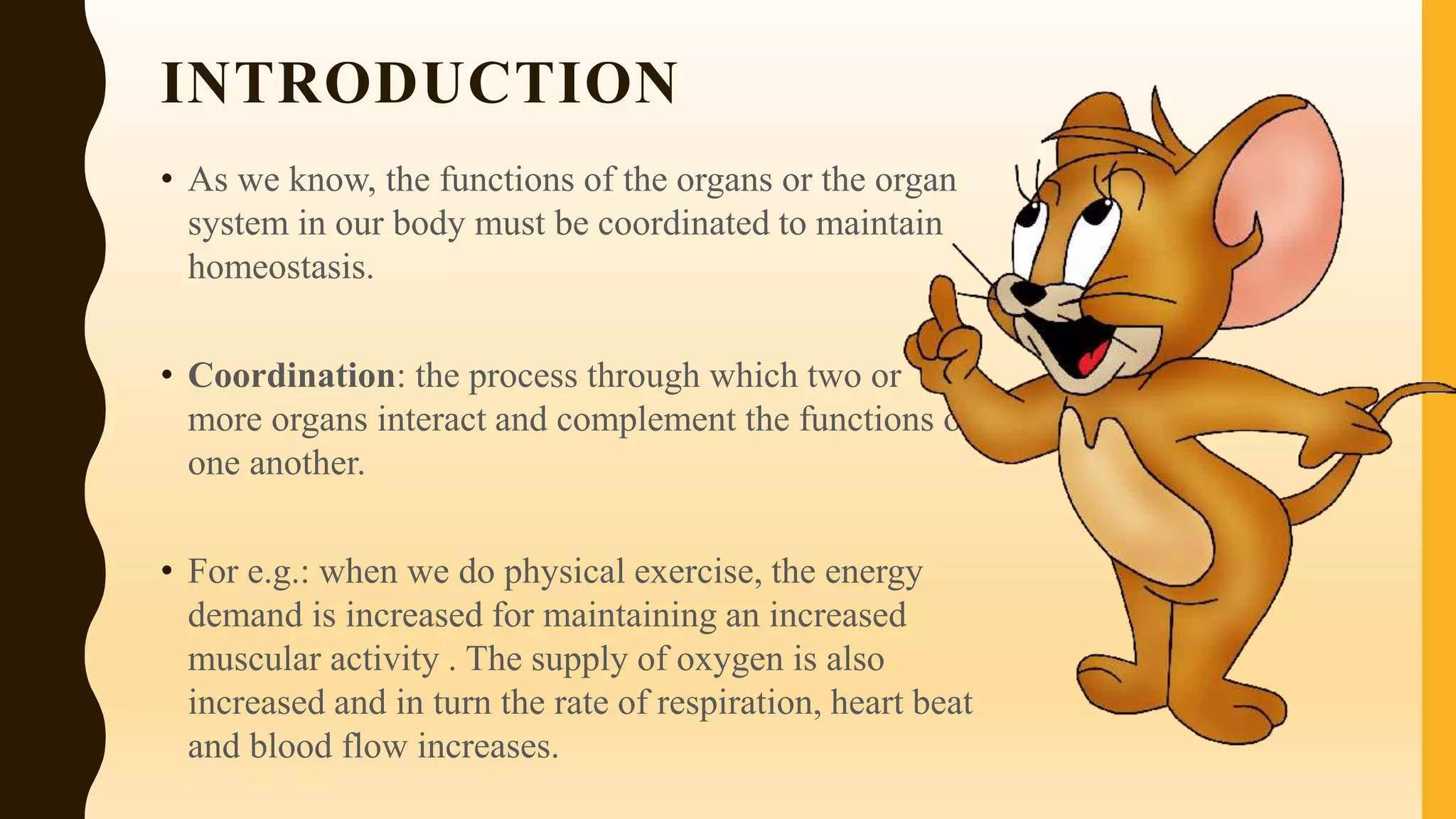 INTRODUCTION
• As we know, the functions of the organs or the organ
system in our body must be coordinated to maintain
homeostasis.
• Coordination: the process through which two or
more organs interact and complement the functions of
one another.
• For e.g.: when we do physical exercise, the energy
demand is increased for maintaining an increased
muscular activity . The supply of oxygen is also
increased and in turn the rate of respiration, heart beat
and blood flow increases.
 