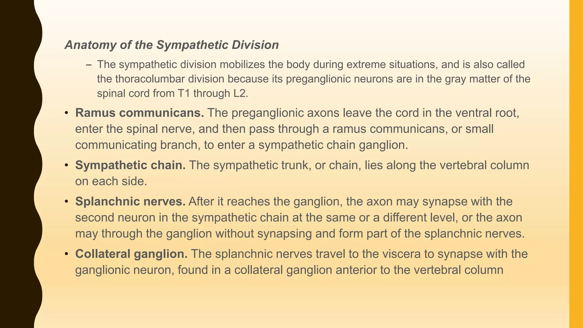 Anatomy of the Sympathetic Division
– The sympathetic division mobilizes the body during extreme situations, and is also called
the thoracolumbar division because its preganglionic neurons are in the gray matter of the
spinal cord from T1 through L2.
• Ramus communicans. The preganglionic axons leave the cord in the ventral root,
enter the spinal nerve, and then pass through a ramus communicans, or small
communicating branch, to enter a sympathetic chain ganglion.
• Sympathetic chain. The sympathetic trunk, or chain, lies along the vertebral column
on each side.
• Splanchnic nerves. After it reaches the ganglion, the axon may synapse with the
second neuron in the sympathetic chain at the same or a different level, or the axon
may through the ganglion without synapsing and form part of the splanchnic nerves.
• Collateral ganglion. The splanchnic nerves travel to the viscera to synapse with the
ganglionic neuron, found in a collateral ganglion anterior to the vertebral column
 