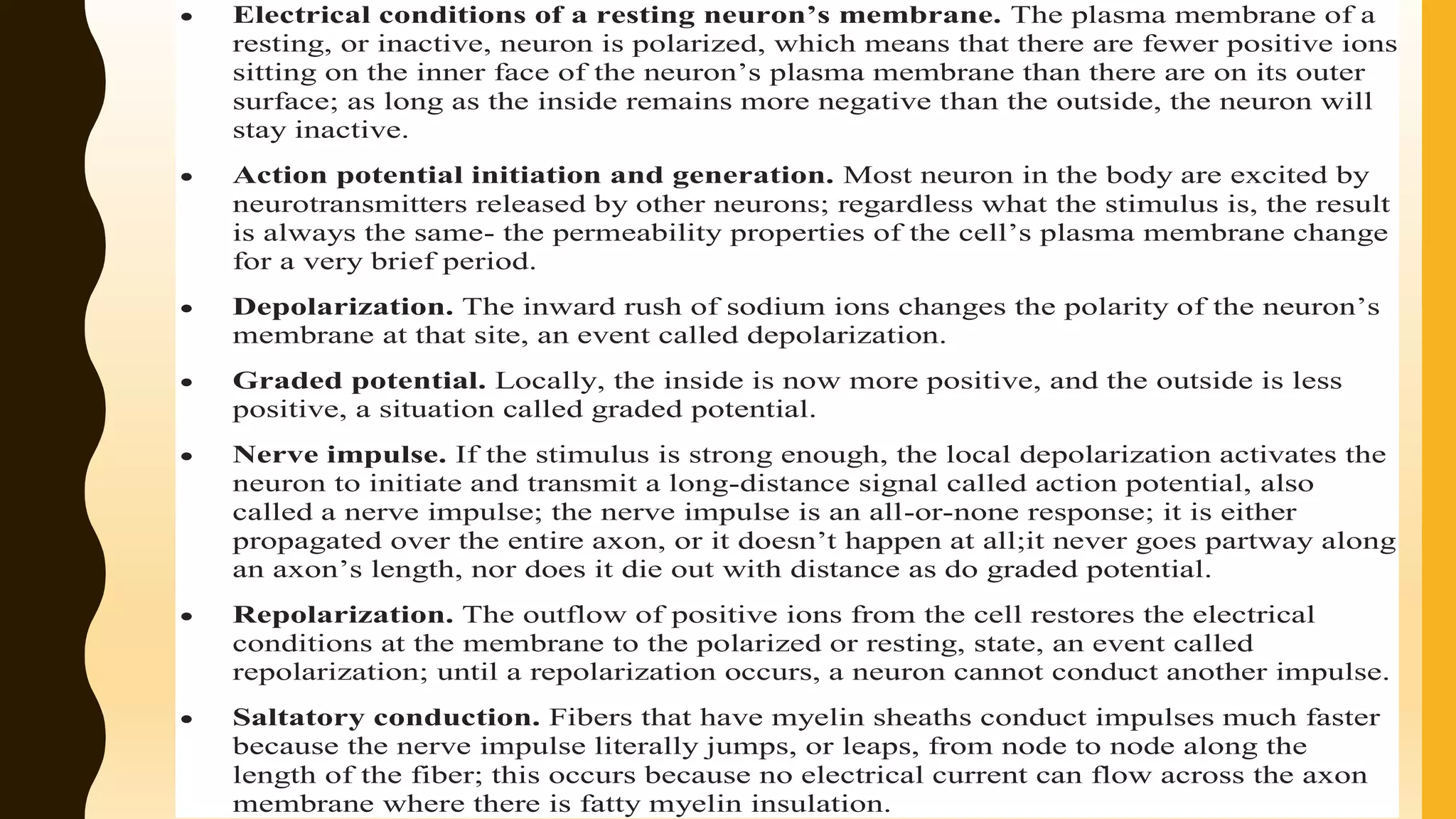  Electrical conditions of a resting neuron’s membrane. The plasma membrane of a
resting, or inactive, neuron is polarized, which means that there are fewer positive ions
sitting on the inner face of the neuron’s plasma membrane than there are on its outer
surface; as long as the inside remains more negative than the outside, the neuron will
stay inactive.
 Action potential initiation and generation. Most neuron in the body are excited by
neurotransmitters released by other neurons; regardless what the stimulus is, the result
is always the same- the permeability properties of the cell’s plasma membrane change
for a very brief period.
 Depolarization. The inward rush of sodium ions changes the polarity of the neuron’s
membrane at that site, an event called depolarization.
 Graded potential. Locally, the inside is now more positive, and the outside is less
positive, a situation called graded potential.
 Nerve impulse. If the stimulus is strong enough, the local depolarization activates the
neuron to initiate and transmit a long-distance signal called action potential, also
called a nerve impulse; the nerve impulse is an all-or-none response; it is either
propagated over the entire axon, or it doesn’t happen at all;it never goes partway along
an axon’s length, nor does it die out with distance as do graded potential.
 Repolarization. The outflow of positive ions from the cell restores the electrical
conditions at the membrane to the polarized or resting, state, an event called
repolarization; until a repolarization occurs, a neuron cannot conduct another impulse.
 Saltatory conduction. Fibers that have myelin sheaths conduct impulses much faster
because the nerve impulse literally jumps, or leaps, from node to node along the
length of the fiber; this occurs because no electrical current can flow across the axon
membrane where there is fatty myelin insulation.
 