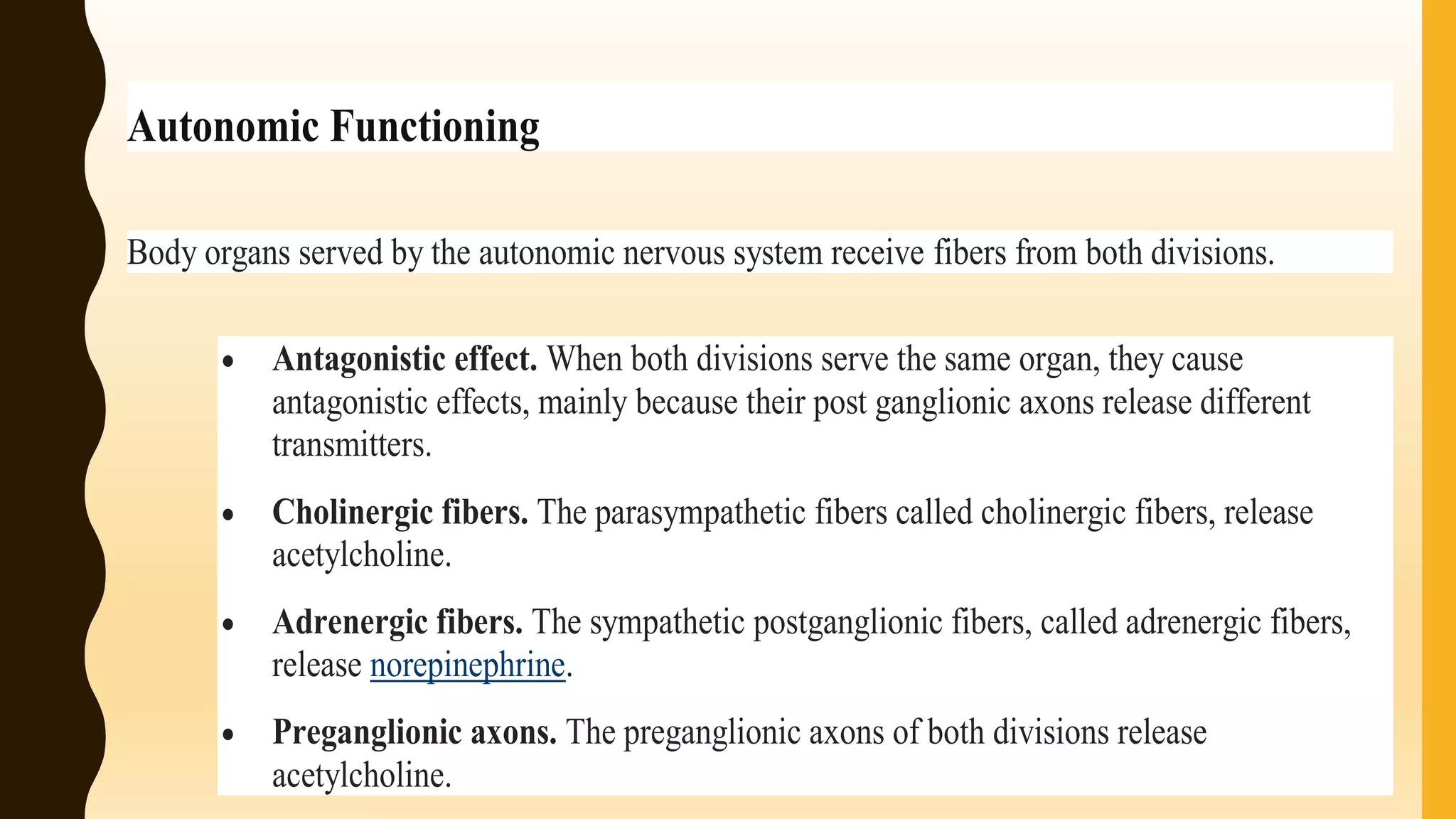 Autonomic Functioning
Body organs served by the autonomic nervous system receive fibers from both divisions.
 Antagonistic effect. When both divisions serve the same organ, they cause
antagonistic effects, mainly because their post ganglionic axons release different
transmitters.
 Cholinergic fibers. The parasympathetic fibers called cholinergic fibers, release
acetylcholine.
 Adrenergic fibers. The sympathetic postganglionic fibers, called adrenergic fibers,
release norepinephrine.
 Preganglionic axons. The preganglionic axons of both divisions release
acetylcholine.
 