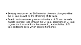 • Sensory neurons of the ENS monitor chemical changes within
the GI tract as well as the stretching of its walls.
• Enteric motor neurons govern contractions of GI tract smooth
muscle to propel food through the GI tract, secretions of GI tract
organs (such as acid from the stomach), and activities of GI
tract endocrine cells, which secrete hormones.
 