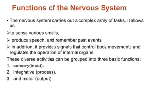 Functions of the Nervous System
• The nervous system carries out a complex array of tasks. It allows
us
to sense various smells,
 produce speech, and remember past events
 in addition, it provides signals that control body movements and
regulates the operation of internal organs.
These diverse activities can be grouped into three basic functions:
1. sensory(input),
2. integrative (process),
3. and motor (output).
 