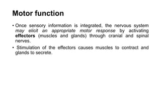 Motor function
• Once sensory information is integrated, the nervous system
may elicit an appropriate motor response by activating
effectors (muscles and glands) through cranial and spinal
nerves.
• Stimulation of the effectors causes muscles to contract and
glands to secrete.
 