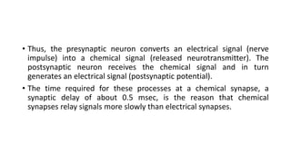 • Thus, the presynaptic neuron converts an electrical signal (nerve
impulse) into a chemical signal (released neurotransmitter). The
postsynaptic neuron receives the chemical signal and in turn
generates an electrical signal (postsynaptic potential).
• The time required for these processes at a chemical synapse, a
synaptic delay of about 0.5 msec, is the reason that chemical
synapses relay signals more slowly than electrical synapses.
 