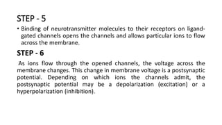 STEP - 5
• Binding of neurotransmitter molecules to their receptors on ligand-
gated channels opens the channels and allows particular ions to flow
across the membrane.
STEP - 6
As ions flow through the opened channels, the voltage across the
membrane changes. This change in membrane voltage is a postsynaptic
potential. Depending on which ions the channels admit, the
postsynaptic potential may be a depolarization (excitation) or a
hyperpolarization (inhibition).
 