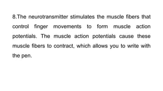 8.The neurotransmitter stimulates the muscle fibers that
control finger movements to form muscle action
potentials. The muscle action potentials cause these
muscle fibers to contract, which allows you to write with
the pen.
 