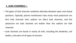 1. LEAK CHANNELS :-
• The gates of leak channels randomly alternate between open and closed
positions. Typically, plasma membranes have many more potassium ion
(K+) leak channels than sodium ion (Na+) leak channels, and the
potassium ion leak channels are leakier than the sodium ion leak
channels.
• Leak channels are found in nearly all cells, including the dendrites, cell
bodies, and axons of all types of neurons.
 