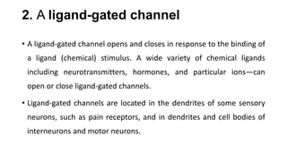 2. A ligand-gated channel
• A ligand-gated channel opens and closes in response to the binding of
a ligand (chemical) stimulus. A wide variety of chemical ligands
including neurotransmitters, hormones, and particular ions—can
open or close ligand-gated channels.
• Ligand-gated channels are located in the dendrites of some sensory
neurons, such as pain receptors, and in dendrites and cell bodies of
interneurons and motor neurons.
 