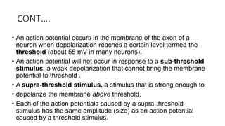 CONT….
• An action potential occurs in the membrane of the axon of a
neuron when depolarization reaches a certain level termed the
threshold (about 55 mV in many neurons).
• An action potential will not occur in response to a sub-threshold
stimulus, a weak depolarization that cannot bring the membrane
potential to threshold .
• A supra-threshold stimulus, a stimulus that is strong enough to
• depolarize the membrane above threshold.
• Each of the action potentials caused by a supra-threshold
stimulus has the same amplitude (size) as an action potential
caused by a threshold stimulus.
 