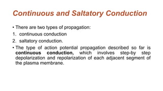 Continuous and Saltatory Conduction
• There are two types of propagation:
1. continuous conduction
2. saltatory conduction.
• The type of action potential propagation described so far is
continuous conduction, which involves step-by step
depolarization and repolarization of each adjacent segment of
the plasma membrane.
 