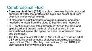 Cerebrospinal Fluid
• Cerebrospinal fluid (CSF) is a clear, colorless liquid composed
primarily of water that protects the brain and spinal cord from
chemical and physical injuries.
• It also carries small amounts of oxygen, glucose, and other
needed chemicals from the blood to neurons and neuroglia.
• CSF continuously circulates through cavities in the brain and
spinal cord and around the brain and spinal cord in the
subarachnoid space (the space between the arachnoid mater
and pia mater).
• The total volume of CSF is 80 to 150 mL (3 to 5 oz) in an adult.
CSF contains small amounts of glucose, proteins, lactic acid,
urea, cations (Na, K, Ca2, Mg2), and anions (Cl– and HCO3–), it
also contains some white blood cells.
 