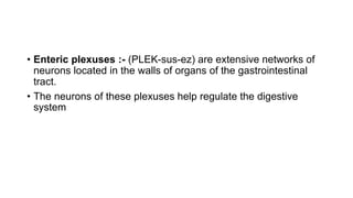 • Enteric plexuses :- (PLEK-sus-ez) are extensive networks of
neurons located in the walls of organs of the gastrointestinal
tract.
• The neurons of these plexuses help regulate the digestive
system
 