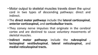 • Motor output to skeletal muscles travels down the spinal
cord in two types of descending pathways: direct and
indirect.
• The direct motor pathways include the lateral corticospinal,
anterior corticospinal, and corticobulbar tracts.
• They convey nerve impulses that originate in the cerebral
cortex and are destined to cause voluntary movements of
skeletal muscles.
• Indirect motor pathways include the rubrospinal ,
tectospinal vestibulospinal, lateral reticulospinal, and
medial reticulospinal tracts.
 