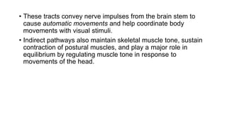 • These tracts convey nerve impulses from the brain stem to
cause automatic movements and help coordinate body
movements with visual stimuli.
• Indirect pathways also maintain skeletal muscle tone, sustain
contraction of postural muscles, and play a major role in
equilibrium by regulating muscle tone in response to
movements of the head.
 