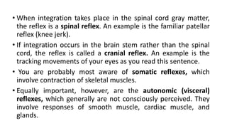 • When integration takes place in the spinal cord gray matter,
the reflex is a spinal reflex. An example is the familiar patellar
reflex (knee jerk).
• If integration occurs in the brain stem rather than the spinal
cord, the reflex is called a cranial reflex. An example is the
tracking movements of your eyes as you read this sentence.
• You are probably most aware of somatic reflexes, which
involve contraction of skeletal muscles.
• Equally important, however, are the autonomic (visceral)
reflexes, which generally are not consciously perceived. They
involve responses of smooth muscle, cardiac muscle, and
glands.
 