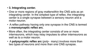 • 3. Integrating center.
• One or more regions of gray matterwithin the CNS acts as an
integrating center. In the simplest type of reflex, the integrating
center is a single synapse between a sensory neuron and a
motor neuron.
• A reflex pathway having only one synapse in the CNS is termed
a monosynaptic reflex arc.
• More often, the integrating center consists of one or more
interneurons, which may relay impulses to other interneurons as
well as to a motor neuron.
• A polysynaptic reflex arc (poly- many) involves more than
two types of neurons and more than one CNS synapse.
 