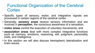 Functional Organization of the Cerebral
Cortex
• Specific types of sensory, motor, and integrative signals are
processed in certain regions of the cerebral cortex .
• Generally, sensory areas receive sensory information and are
involved in perception, the conscious awareness of a sensation;
• motor areas control the execution of voluntary movements; and
• association areas deal with more complex integrative functions
such as memory, emotions, reasoning, will, judgment, personality
traits, and intelligence.
• In this section we will also discuss hemispheric lateralization and
brain waves.
 