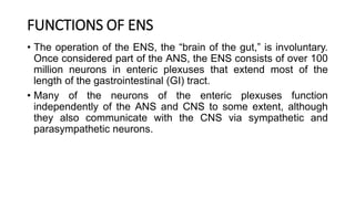 FUNCTIONS OF ENS
• The operation of the ENS, the “brain of the gut,” is involuntary.
Once considered part of the ANS, the ENS consists of over 100
million neurons in enteric plexuses that extend most of the
length of the gastrointestinal (GI) tract.
• Many of the neurons of the enteric plexuses function
independently of the ANS and CNS to some extent, although
they also communicate with the CNS via sympathetic and
parasympathetic neurons.
 
