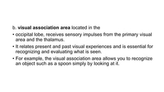b. visual association area located in the
• occipital lobe, receives sensory impulses from the primary visual
area and the thalamus.
• It relates present and past visual experiences and is essential for
recognizing and evaluating what is seen.
• For example, the visual association area allows you to recognize
an object such as a spoon simply by looking at it.
 