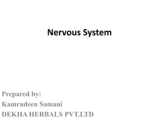 Nervous System
Prepared by:
Kamrudeen Samani
DEKHA HERBALS PVT.LTD
 