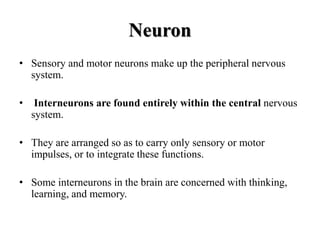 Neuron
• Sensory and motor neurons make up the peripheral nervous
system.
• Interneurons are found entirely within the central nervous
system.
• They are arranged so as to carry only sensory or motor
impulses, or to integrate these functions.
• Some interneurons in the brain are concerned with thinking,
learning, and memory.
 
