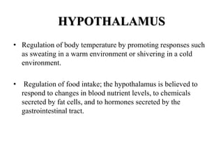 HYPOTHALAMUS
• Regulation of body temperature by promoting responses such
as sweating in a warm environment or shivering in a cold
environment.
• Regulation of food intake; the hypothalamus is believed to
respond to changes in blood nutrient levels, to chemicals
secreted by fat cells, and to hormones secreted by the
gastrointestinal tract.
 