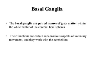 Basal Ganglia
• The basal ganglia are paired masses of gray matter within
the white matter of the cerebral hemispheres.
• Their functions are certain subconscious aspects of voluntary
movement, and they work with the cerebellum.
 