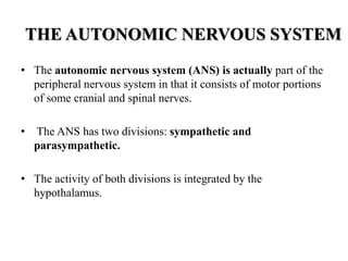 THE AUTONOMIC NERVOUS SYSTEM
• The autonomic nervous system (ANS) is actually part of the
peripheral nervous system in that it consists of motor portions
of some cranial and spinal nerves.
• The ANS has two divisions: sympathetic and
parasympathetic.
• The activity of both divisions is integrated by the
hypothalamus.
 