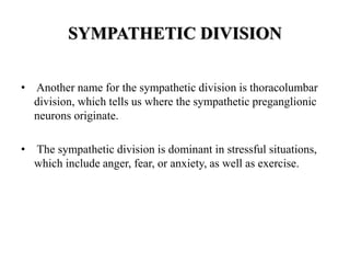 SYMPATHETIC DIVISION
• Another name for the sympathetic division is thoracolumbar
division, which tells us where the sympathetic preganglionic
neurons originate.
• The sympathetic division is dominant in stressful situations,
which include anger, fear, or anxiety, as well as exercise.
 