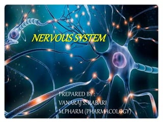 NERVOUS SYSTEM
PREPARED BY :
VANARAJ S. RABARI
M.PHARM (PHARMACOLOGY)
 
