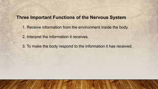 Three Important Functions of the Nervous System
1. Receive information from the environment inside the body.
2. Interpret the information it receives.
3. To make the body respond to the information it has received.
 