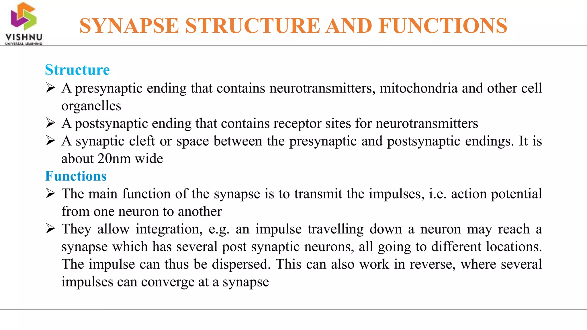 Structure
 A presynaptic ending that contains neurotransmitters, mitochondria and other cell
organelles
 A postsynaptic ending that contains receptor sites for neurotransmitters
 A synaptic cleft or space between the presynaptic and postsynaptic endings. It is
about 20nm wide
Functions
 The main function of the synapse is to transmit the impulses, i.e. action potential
from one neuron to another
 They allow integration, e.g. an impulse travelling down a neuron may reach a
synapse which has several post synaptic neurons, all going to different locations.
The impulse can thus be dispersed. This can also work in reverse, where several
impulses can converge at a synapse
SYNAPSE STRUCTURE AND FUNCTIONS
 