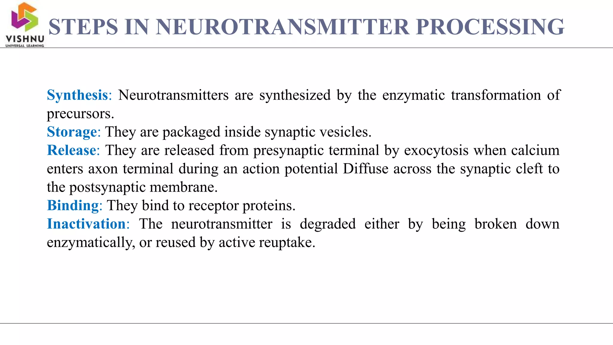 Synthesis: Neurotransmitters are synthesized by the enzymatic transformation of
precursors.
Storage: They are packaged inside synaptic vesicles.
Release: They are released from presynaptic terminal by exocytosis when calcium
enters axon terminal during an action potential Diffuse across the synaptic cleft to
the postsynaptic membrane.
Binding: They bind to receptor proteins.
Inactivation: The neurotransmitter is degraded either by being broken down
enzymatically, or reused by active reuptake.
STEPS IN NEUROTRANSMITTER PROCESSING
 