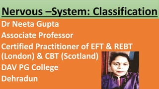 Nervous –System: Classification
Dr Neeta Gupta
Associate Professor
Certified Practitioner of EFT & REBT
(London) & CBT (Scotland) T
DAV PG College
Dehradun
 