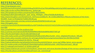 REFERENCES:
https://4.bp.blogspot.com/-
YyolCPZX1Aw/VuPhJUwHoFI/AAAAAAAABug/Kt30PLfhmCIav7Pj6Up8WBlgzoxXe3uFg/s640/organization_of_nervous_system.JPG
https://qbi.uq.edu.au/files/38434/Nervous_System.jpg
https://lh3.googleusercontent.com/proxy/ftC0-vMqCwOhR3-
F6eIpDWgyGs96tfuQDmh8fa3yZAJ_JJp0J_ZkVrg_YfWNgXV_z7fKrmTkDOBzsBc8h9b2ow
https://www.thoughtco.com/thmb/EUnrG_GGF5svvLmUAiBlyrihi_M=/1500x1000/filters:fill(auto,1)/divisions-of-the-brain-
4032899_final1-5c795dddc9e77c00012f81d8.png
https://www.scienceabc.com/wp-content/uploads/2018/06/Cerebrum1.jpg
https://lh4.ggpht.com/-
LuzjIzjUvFs/Uym2VcSh1RI/AAAAAAAABDI/tunSDFTJh84/Brain%252527s%252520three%252520parts%25255B4%25255D.gif?img
max=800
https://mayfieldclinic.com/pe-anatbrain.htm
https://i.pinimg.com/originals/6f/99/df/6f99dfb8c638343c8c8849e580377d97.gif
https://faculty.washington.edu/chudler/gif/lobeani.gif
https://64.media.tumblr.com/0f7befbf5b9c043af0a481a3181a96ec/tumblr_inline_oldpdyGzHf1sndsvm_540.gifv
https://static.wikia.nocookie.net/brain-for-ai/images/b/bd/Tectum.png/revision/latest?cb=20170613125935
https://i.makeagif.com/media/6-03-2017/y_7E4a.gif
https://upload.wikimedia.org/wikipedia/commons/thumb/d/d2/Spinal_nerve.svg/1200px-Spinal_nerve.svg.png
http://31.media.tumblr.com/91040c8752ba3cfe8a2aa95d1c3b832d/tumblr_nk927ftzex1skn1oxo1_500.gif
https://i.makeagif.com/media/5-12-2018/cuxkW2.gif
https://www.msdmanuals.com/en-in/home/brain,-spinal-cord,-and-nerve-disorders/biology-of-the-nervous-system/spinal-cord
https://thumbs.gfycat.com/FearlessNaturalFireant-size_restricted.gif
 