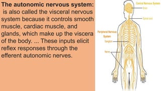The autonomic nervous system:
is also called the visceral nervous
system because it controls smooth
muscle, cardiac muscle, and
glands, which make up the viscera
of the body. ... These inputs elicit
reflex responses through the
efferent autonomic nerves.
 