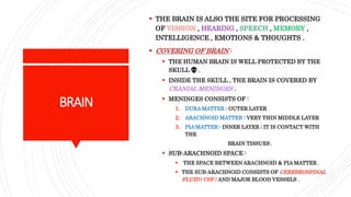 BRAIN
 THE BRAIN IS ALSO THE SITE FOR PROCESSING
OF VISSION , HEARING , SPEECH , MEMORY ,
INTELLIGENCE , EMOTIONS & THOUGHTS .
 COVERING OF BRAIN :
 THE HUMAN BRAIN IS WELL PROTECTED BY THE
SKULL 💀 .
 INSIDE THE SKULL , THE BRAIN IS COVERED BY
CRANIAL MENINGES .
 MENINGES CONSISTS OF :
1. DURA MATTER : OUTER LAYER
2. ARACHNOID MATTER : VERY THIN MIDDLE LAYER
3. PIA MATTER : INNER LAYER ; IT IS CONTACT WITH
THE
BRAIN TISSUES .
 SUB-ARACHNOID SPACE :
 THE SPACE BETWEEN ARACHNOID & PIA MATTER .
 THE SUB-ARACHNOID CONSISTS OF CEREBROSPINAL
FLUID ( CSF ) AND MAJOR BLOOD VESSELS .
 