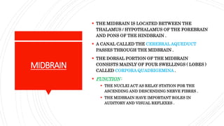 MIDBRAIN
 THE MIDBRAIN IS LOCATED BETWEEN THE
THALAMUS / HYPOTHALAMUS OF THE FOREBRAIN
AND PONS OF THE HINDBRAIN .
 A CANAL CALLED THE CEREBRAL AQUEDUCT
PASSES THROUGH THE MIDBRAIN .
 THE DORSAL PORTION OF THE MIDBRAIN
CONSISTS MAINLY OF FOUR SWELLINGS ( LOBES )
CALLED CORPORA QUADRIGEMINA .
 FUNCTION :
 THE NUCLEI ACT AS RELAY STATION FOR THE
ASCENDING AND DESCENDING NERVE FIBRES .
 THE MIDBRAIN HAVE IMPORTANT ROLES IN
AUDITORY AND VISUAL REFLEXES .
 