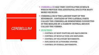CEREBELLUM
 CEREBELLUM HAS VERY CONVOLUTED SURFACE
WHICH PROVIDE THE ADDITIONAL SPACE FOR MANY
MORE NEURONS .
 CEREBELLUM IS THE LARGEST PART OF THE
HINDBRAIN , CONTAINS OF TWO LATERAL PARTS
CALLED THE CEREBELLAR HEMISPHERE CONNECTED
IN THE MIDLINE BY A NARROW CENTRAL REGION
CALLED THE VERMIS .
 FUNCTION :
 CONTROL OF BODY POSTURE AND EQUILIBRIUM .
 CONTROL OF MUSCLE TONE AND REFLEXES .
 CONTROL OF VOLUNTARY MOVEMENTS .
 INFLUENCE ON AUTONOMIC SYSTEM .
 CONTROL OF EYEBALL MOVEMENTS .
 