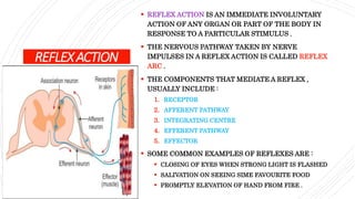 REFLEXACTION
 REFLEX ACTION IS AN IMMEDIATE INVOLUNTARY
ACTION OF ANY ORGAN OR PART OF THE BODY IN
RESPONSE TO A PARTICULAR STIMULUS .
 THE NERVOUS PATHWAY TAKEN BY NERVE
IMPULSES IN A REFLEX ACTION IS CALLED REFLEX
ARC .
 THE COMPONENTS THAT MEDIATE A REFLEX ,
USUALLY INCLUDE :
1. RECEPTOR
2. AFFERENT PATHWAY
3. INTEGRATING CENTRE
4. EFFERENT PATHWAY
5. EFFECTOR
 SOME COMMON EXAMPLES OF REFLEXES ARE :
 CLOSING OF EYES WHEN STRONG LIGHT IS FLASHED
 SALIVATION ON SEEING SIME FAVOURITE FOOD
 PROMPTLY ELEVATION OF HAND FROM FIRE .
 