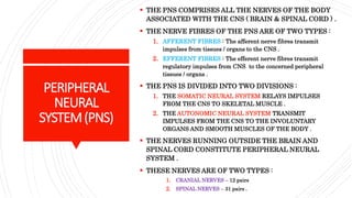 PERIPHERAL
NEURAL
SYSTEM(PNS)
 THE PNS COMPRISES ALL THE NERVES OF THE BODY
ASSOCIATED WITH THE CNS ( BRAIN & SPINAL CORD ) .
 THE NERVE FIBRES OF THE PNS ARE OF TWO TYPES :
1. AFFERENT FIBRES : The afferent nerve fibres transmit
impulses from tissues / organs to the CNS .
2. EFFERENT FIBRES : The efferent nerve fibres transmit
regulatory impulses from CNS to the concerned peripheral
tissues / organs .
 THE PNS IS DIVIDED INTO TWO DIVISIONS :
1. THE SOMATIC NEURAL SYSTEM RELAYS IMPULSES
FROM THE CNS TO SKELETAL MUSCLE .
2. THE AUTONOMIC NEURAL SYSTEM TRANSMIT
IMPULSES FROM THE CNS TO THE INVOLUNTARY
ORGANS AND SMOOTH MUSCLES OF THE BODY .
 THE NERVES RUNNING OUTSIDE THE BRAIN AND
SPINAL CORD CONSTITUTE PERIPHERAL NEURAL
SYSTEM .
 THESE NERVES ARE OF TWO TYPES :
1. CRANIAL NERVES – 12 pairs
2. SPINAL NERVES – 31 pairs .
 