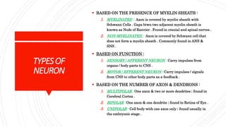 TYPESOF
NEURON
 BASED ON THE PRESENCE OF MYELIN SHEATH :
1. MYELINATED : Axon is covered by myelin sheath with
Schwann Cells . Gaps btwn two adjacent myelin sheath is
known as Node of Ranvier . Found in cranial and spinal nerves .
2. NON-MYELINATED : Axon is covered by Schwann cell that
does not form a myelin sheath . Commonly found in ANS &
SNS .
 BASED ON FUNCTION :
1. SENSORY / AFFERENT NEURON : Carry impulses from
organs / body parts to CNS .
2. MOTOR / EFFERENT NEURON : Carry impulses / signals
from CNS to other body parts as a feedback .
 BASED ON THE NUMBER OF AXON & DENDRONS :
1. MULTIPOLAR : One axon & two or more dendrites ; found in
Cerebral Cortex .
2. BIPOLAR : One axon & one dendrite ; found in Retina of Eye .
3. UNIPOLAR : Cell body with one axon only ; found usually in
the embryonic stage .
 