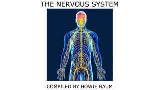 THE NERVOUS SYSTEM
COMPILED BY HOWIE BAUM
 