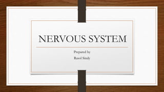 NERVOUS SYSTEM
Prepared by
Rasol Sindy
 