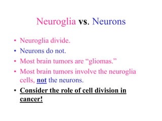 Nervous System.ppt